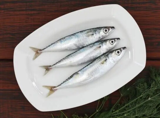 السردين… وصفة طبيعية لبشرة نضرة وشباب يدوم