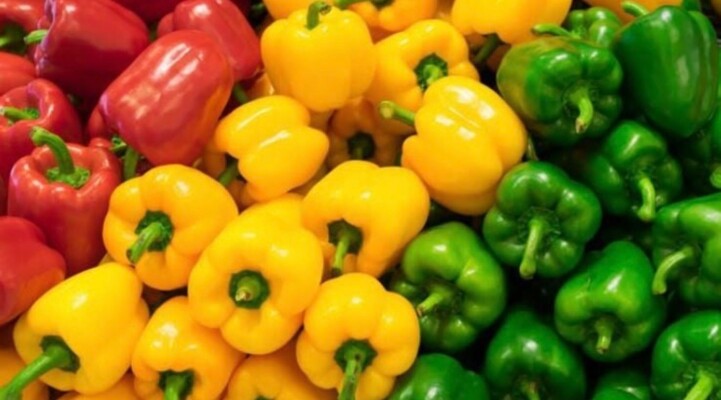 ألوان الفلفل الحلو وصحتك… أي نوع يمنحك فائدة أكبر؟