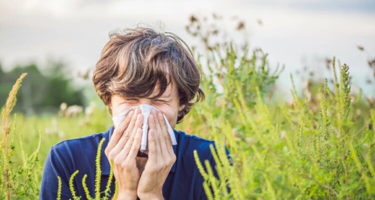 لماذا تزداد الحساسية في الخريف؟ أبرز الأسباب وطرق التمييز بينها وبين الزكام