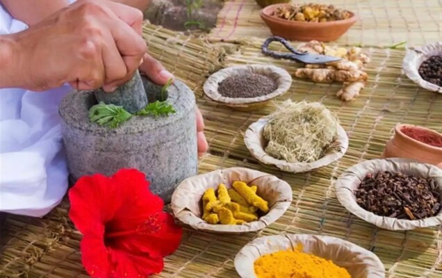 أعشاب طبيعية لتعزيز المناعة وحماية جسمك من الأمراض