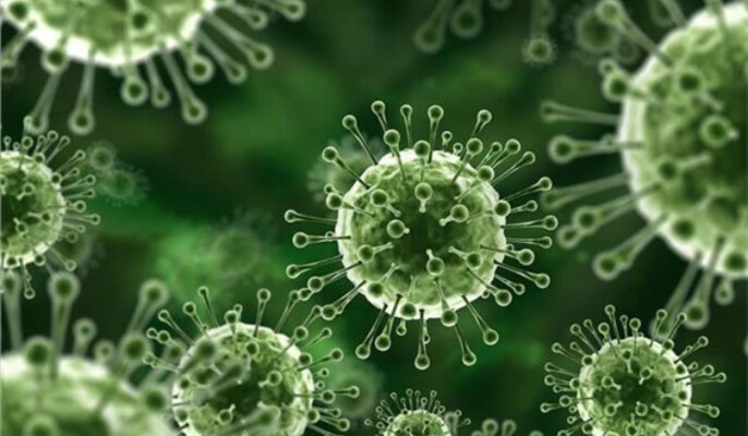 فيروس نيباه الخطير يهدد العالم.. إليكم إجراءات الوقاية الموصى بها