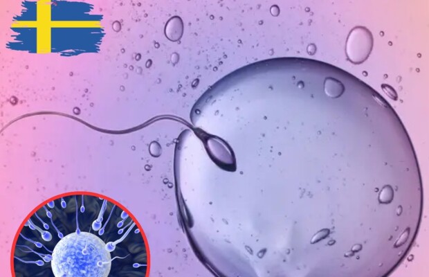 Eggs influence fertilization success