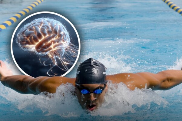 التحدي الصامت.. كيف تروض السباحة جهازك العصبي دون أن تشعر؟