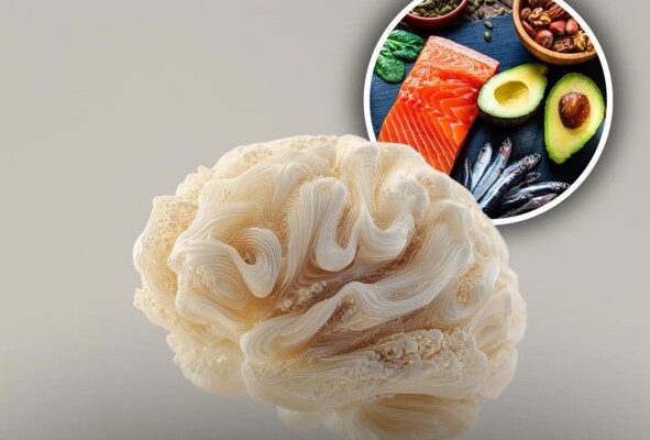 تراجع التركيز قد يرتبط بتركيب الغذاء لا بنمط الحياة