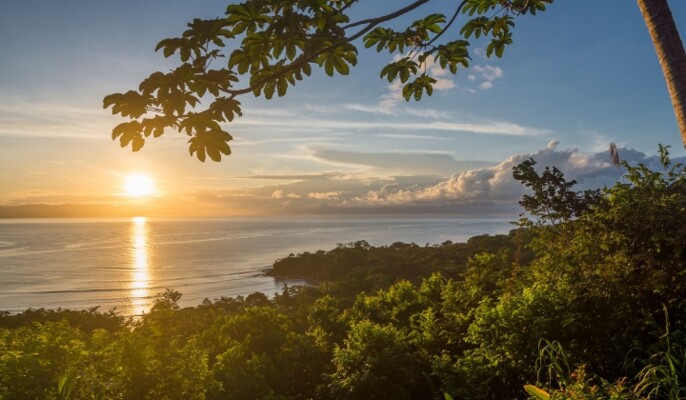 شبه جزيرة أوسا في كوستاريكا: جوهرة الطبيعة والمغامرة لعشاق السفر